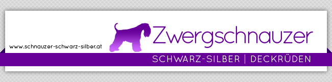 Banner Zwergschnauzer-schwarz-silber